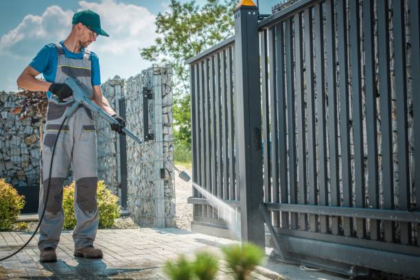 Best Rust Removal  in Leonia, NJ
